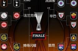 联赛战绩分析出炉，球队实力逐渐强大