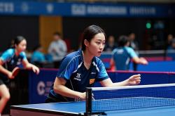 精湛球技展现无人能敌，成为全场瞩目焦点的简单介绍