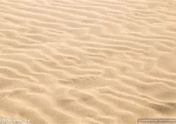 关于沙之河迎战深圳雷曼克，双方将拼尽全力的信息